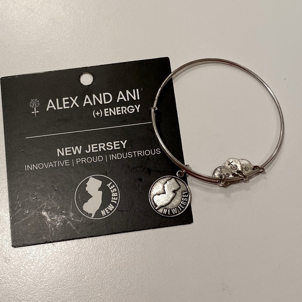 Alex and Ani Silver New Jersey Bangle